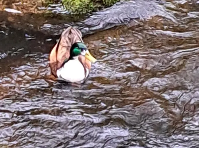 Wohn-eitel Sonnenblick Appartement *